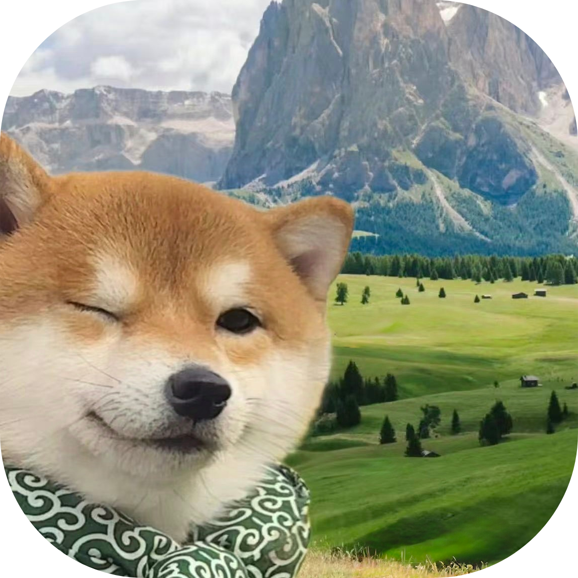 一为导航